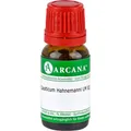 Produktbild: CAUSTICUM HAHNEMANNI LM 12 Dilution 10 ml