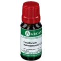 Produktbild: ARCANA® Causticum Hahnemanni LM XII