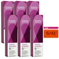 Produktbild: Londa Professional permanente Cremehaarfarbe Extra Rich 6 x 60 ml 6/41 dunkelblo
