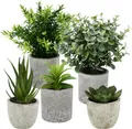 Produktbild: ZHYLUO 5 Stück Kunstpflanze Mini Sukkulente Aloe Deko Schlafzimmer Büro Set