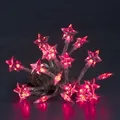 Produktbild: LED Lichterkette 20er Sterne rot Batteriebetrieb Konstsmide 1263-553
