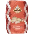 Produktbild: Farina 00 Sacco Rosso 25kg Pizzamehl - Caputo