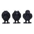 Produktbild: Nemesis Now Three Wise Ravens, Schwarz, 8,7 cm (B6023V2)