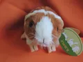 Produktbild: 1x  Meerschweinchen Kuscheltier Plüschtier 15 cm braun Tiere Plüsch weich