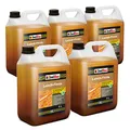 Produktbild: Isolbau Leinöl-Firnis - 5 x 5 Liter - Leinöl für Holz - Holzschutz für Außen und Innen Wetterfest - Doppelt gekochtes Holzöl als natürlicher Schutz für Möbel - Wasserabweisend