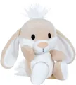 Produktbild: Nici Kuscheltier Spring Rabbits, Hase, 20 cm schlenkernd