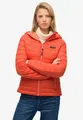 Produktbild: Superdry Steppjacke HOODED FUJI LITE PADDED JACKET