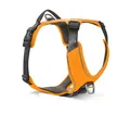 Produktbild: Wolters Active Pro Comfort Hundegeschirr | Geschirr Orange-Anthrazit Gr. 1 - 7
