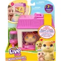 Produktbild: Little Live Pets Mama Surprise Mini Spielset Hamster