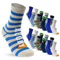 Produktbild: sockenkauf24 Socken 10 Paar Kinder Socken Jungen & Mädchen Baumwolle Kindersocken (31-34) - 54353 grün 31-34
