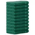 Produktbild: Luckytowel 10er Set Gästehandtücher 30x50 cm 100% Baumwolle, 600g/m² Oeko-Tex Gästetuch-Set 10er Pack Grün