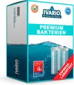 Produktbild: Ivario Wassertest Bakterien Premium, auf E.-Coli, Legionellen, Pseudomonaden