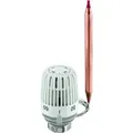 Produktbild: Heimeier Thermostat-Kopf 6602-00.500 40-70 °C, weiß, Kapillarrohrlänge 2 m