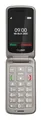 Produktbild: 2G Smartphone 7,11 cm (2.8 Zoll) 0,3 MP Single SIM (Titanium silver) GL595