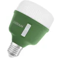 Produktbild: Osram LED-Leuchtmittel OSRAM HOMELIGHTING 4058075845800 Pflanzenlampe E27 20 W 1 St.