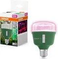 Produktbild: Osram LED Pflanzenlampe Grow Lamp Star T80 20W Klar E27 Weiß Pflanzenlicht