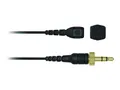 Produktbild: RODE - RØDE Lavalier II - Mikrofon