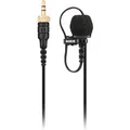 Produktbild: Rode Microphones Lavalier II, Mikrofon, schwarz