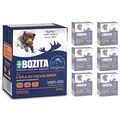 Produktbild: BOZITA Hund: Lachs in Gelee 6x370g