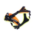 Produktbild: JULIUS K-9 JK9 Mantrailing Hundegeschirr, UV orange mit neon Rand, XS