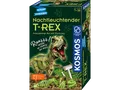 Produktbild: KOSMOS Nachtleuchtender T-REX Experimentierkasten, Mehrfarbig