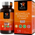 Produktbild: BL Boswellia Serrata | 120 Hochdosierte Weihrauchkapseln mit 51 Boswellia Wei...