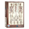 Produktbild: Eurographics Puzzle Das Skelett, Anatomie, 1000 Teile, 68 x 48 cm, 6000-3970