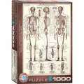 Produktbild: Das Skelett 1000 Teile Puzzle