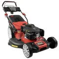 Produktbild: Rasenmäher Big Wheeler 554.3 R