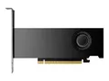 Produktbild: PNY Grafikkarte Nvidia RTX 2000 ADA Generation 16GB GDDR6-RAM PCIe x8 Mini DisplayPort Vulkan