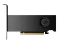 Produktbild: PNY NVIDIA RTX 2000 Ada Generation - Grafikkarte