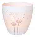Produktbild: räder Teelichthalter PUSTEBLUME DH 9x9 cm  Windlicht Windlichtglas Teelichtglas