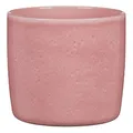 Produktbild: Scheurich Solido, Blumentopf aus Keramik, Farbe: Rosea, 21,2 cm Durchmesser, 19,3 cm hoch, 5,6 l Vol.