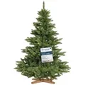 Produktbild: Fairytrees Künstlicher Weihnachtsbaum FT14, Nordmanntanne, grüner Stamm, mit Echtholz Baumständer grün 150 cm