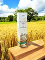 Produktbild: Murmeltieröl Salbe 200ml - Tube  vom Pullach hof
