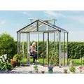 Produktbild: GFP Profi 263 x 138 cm Gewächshaus, Pulverbeschichtet Anthrazit, RAL 7016 | ohne Setangebot - (GFPV00692)