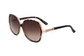Produktbild: Ted Baker TB1608 125 TORTOISE 58/16/135 Damen Sonnenbrillen