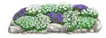 Produktbild: Dehner Bio Stauden-Set Alpengarten, je 3x Grasnelke weiß / Teppich-Glockenblume / Heide-Nelke Albus / Alpen-Edelweiß, mehrjährige Gartenstauden, je 5-20 cm, Ø Topf je 9 cm, blau / weiß