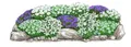 Produktbild: Dehner Staude Bio Stauden-Set Alpengarten, je 5-20 cm, Ø Topf 9 cm, mehrjährige insektenfreundliche Gartenstauden, Farben blau und weiß
