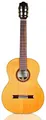 Produktbild: Cordoba Iberia F7 Paco Flamenco-Klassikgitarre aus Nylon