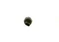 Produktbild: BOSCH 0 261 230 402 Sensor, Öltemperatur/-druck für BMW,MINI