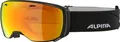 Produktbild: Alpina Skibrille