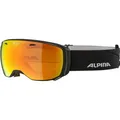 Produktbild: ALPINA Skibrille 