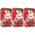 Produktbild: Herbapol Granatapfel Tee 60 Teebeutel - Früchtetee und Kräutertee Mischung