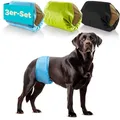 Produktbild: Hundewindeln für Rüden 3 STK Saugstarke Hundewindeln Rüde | Bequeme Hunde Win...
