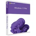 Produktbild: Windows 11 Pro FR