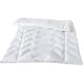 Produktbild: Traumina Exclusive Body Daune Winterdecke 135x200 cm