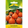 Produktbild: Speisekürbis Uchiki Kuri