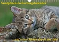 Produktbild: Samtpfoten / Geburtstagskalender (Wandkalender immerwährend DIN A4 quer): Der Katzen-Geburtstagskalender (Geburtstagskalender, 14 Seiten ) (CALVENDO ... (Monatskalender, 14 Seiten)