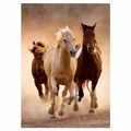 Produktbild: High Quality Collection - 1000 Teile Puzzle - Running horses